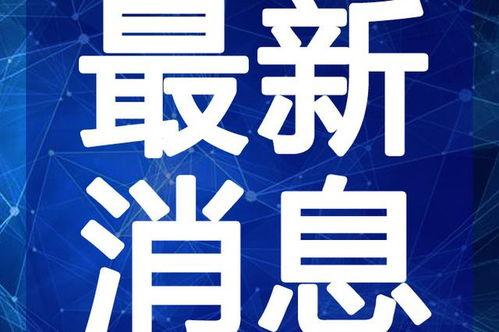 湛江新闻大爆料最新视频,最新视频揭秘惊人内幕!